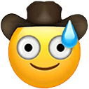 cowboy_mild_panic_attack emoji